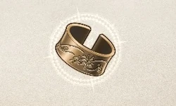 Bronze Bangle LWA CoT