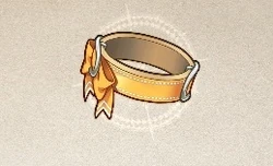 Orange Bracelet LWA CoT