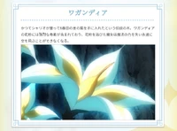 Witchpedia Entry on Wagandea LWA