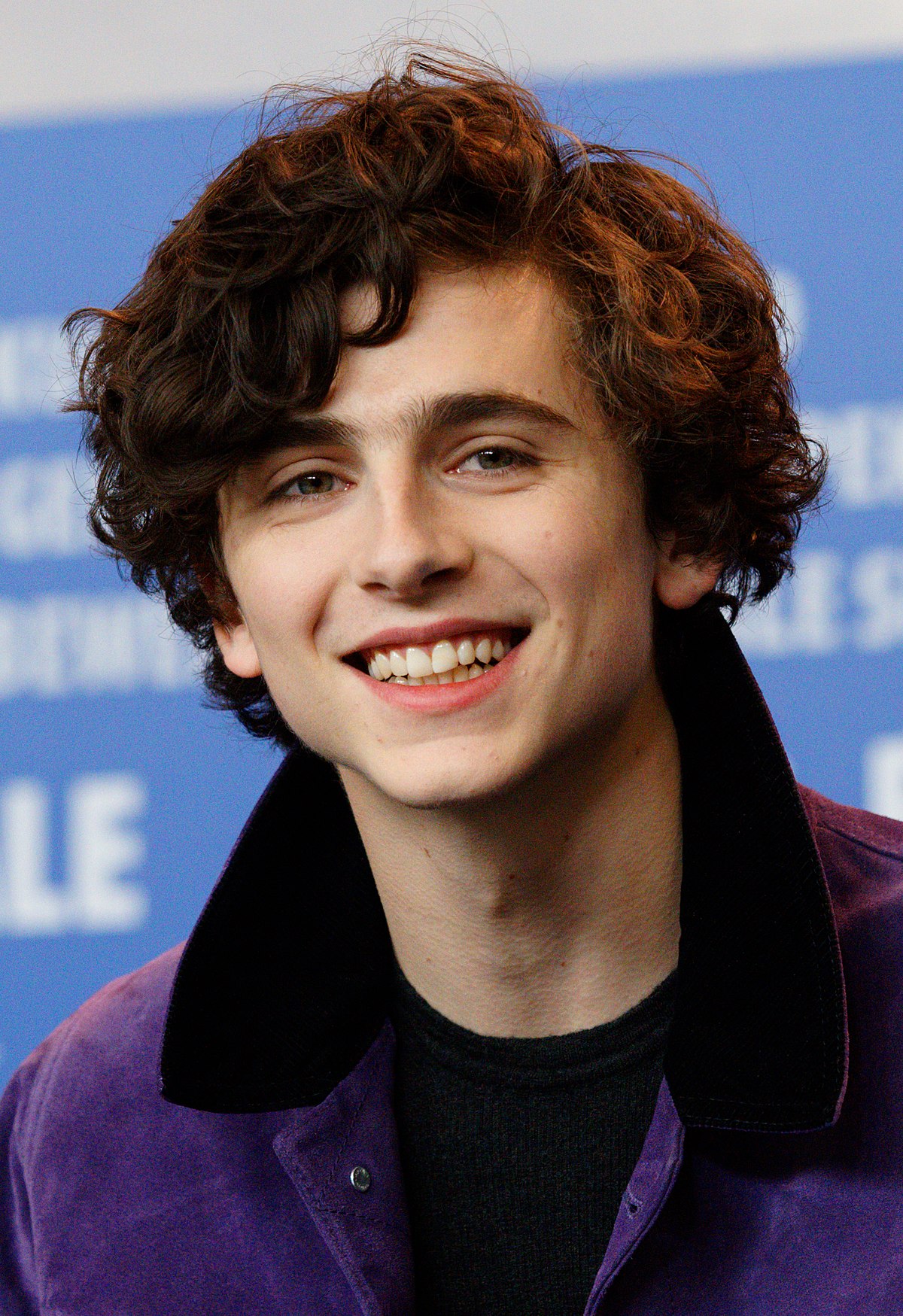 Timothée Chalamet Little Women Wiki Fandom