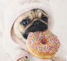 Bulldogdonut