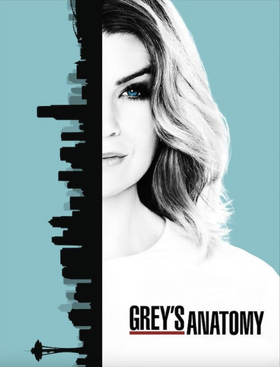 Grey's Anatomy 2005 Poster