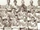 1961-62 season