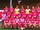 1985-86 season