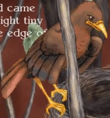 Stellalula mama bird