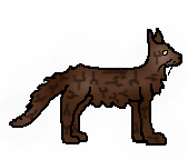 Brambleclaw2 long male