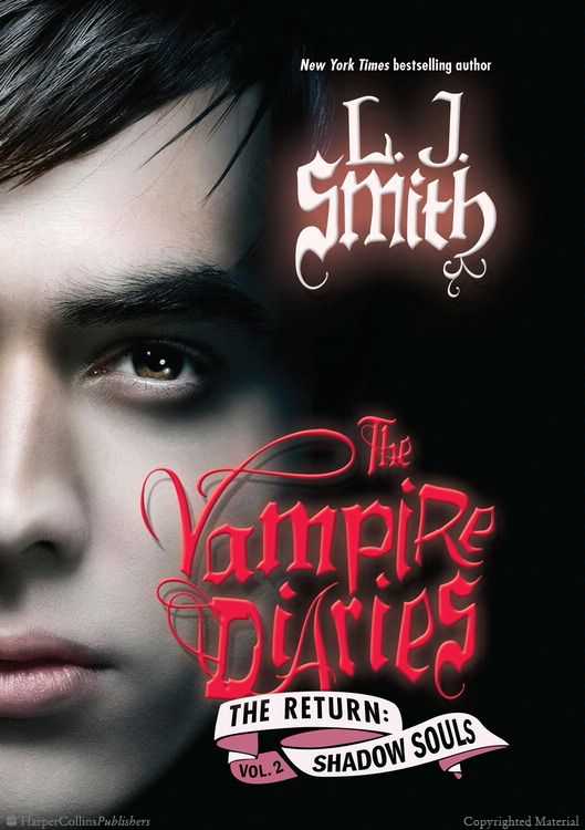 The Vampire Diaries (novel series) - Wikipedia