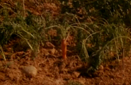 A carrot shown to be able to talk and move