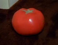 Tomato infobox