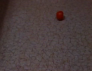 Tomato4