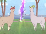 Llamas with Hats 5