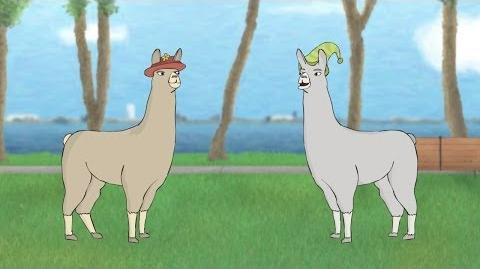llamas with hats quotes