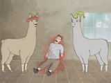 Llamas with Hats 1