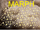 Marph (Episode)