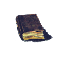 Book without Pictures or Dialogue.png