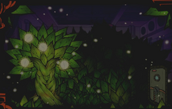 Parasite Tree Lobotomy Corporation Wiki Fandom Parasite Tree Lobotomy Corporation Wiki Fandom