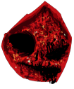 Little Red's Unmasked face in the game files. (legacy)