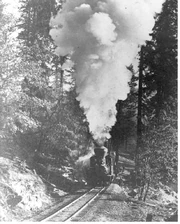 A Madera Sugar Pine Lumber Co. log train climbing a steep grade near Sugar Pine, California, circa 1915.