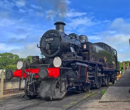 41298-On-shed-scaled