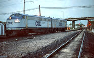 CSX's original F units in their "stealth" liveries.