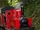 Lappa Valley Railway No. 1 Zebedee
