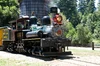 Roaring Camp Shay1 04