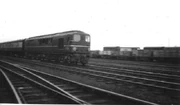 10203 at Bletchley