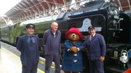 ImgID133937814.jpg.gallery.jpg (61 KB) Paddington Bear with Tornado and her crew