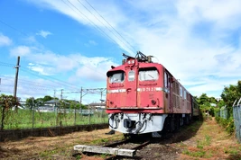 ED71 37 2023
