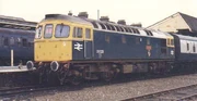 D33025