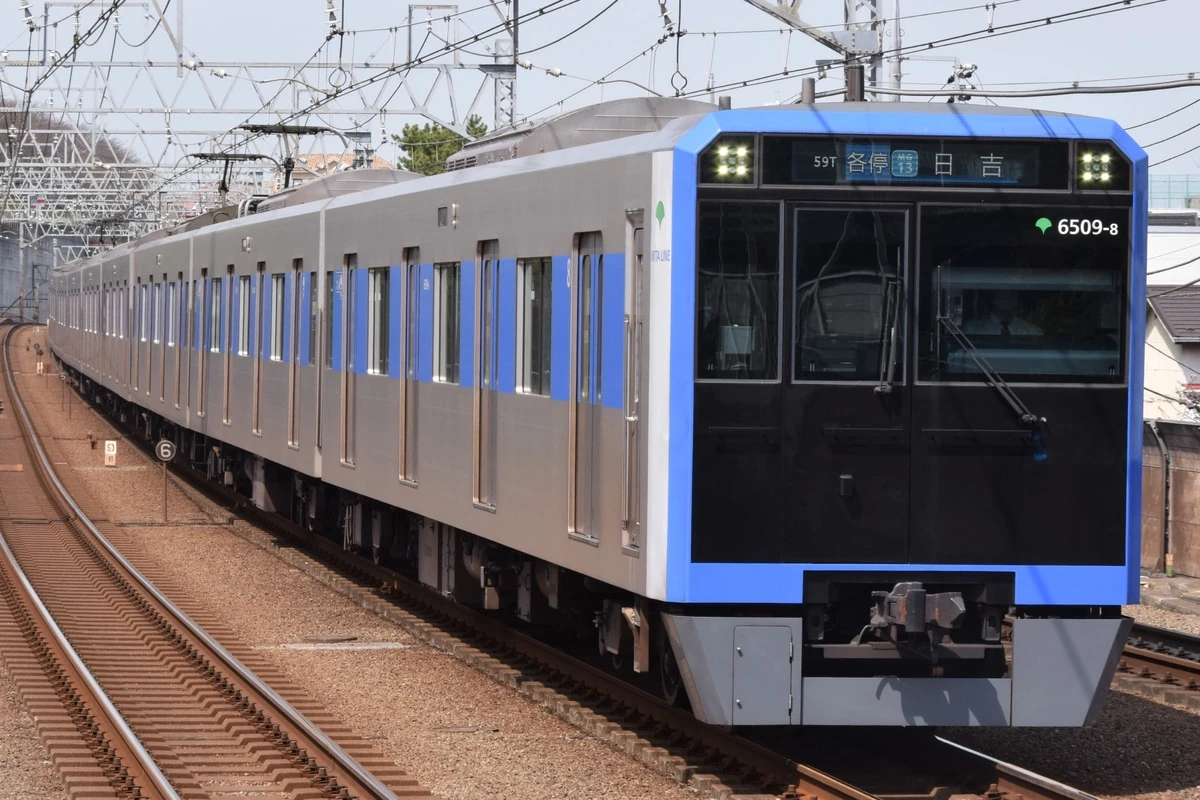 mainagamoto(ナガモトマイ) x Longneck フテネコ白成型/青 220408049.jpg