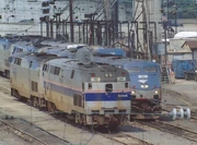 Numerous Amtrak Genesis units.