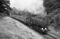 33036 near Baynards (1963)