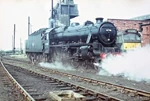 44781