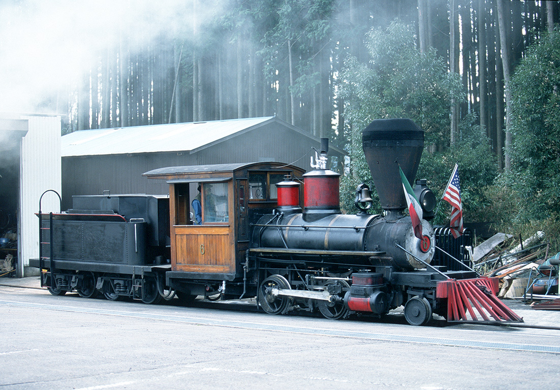 mishaandpuff】花鉄 basil railroad 6y