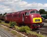 British Rail Class 42 In His Red Form