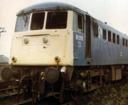 Derelict 81015