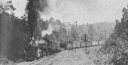 #4538 with a freight train on Saluda Grade in 1937. She was built by Baldwin in 1912 and later retired in April 1949.