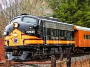 Mt-rainier-scenic-railroad