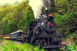 Engine Three at Chestnut Hollow Bend - Durbin and Greenbrier Valley Railroad - West Virginia, USA - 16 May 2013