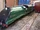 Windmill Farm Railway 'Princess Anne'