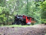 Frisco Silver Dollar Line No. 76