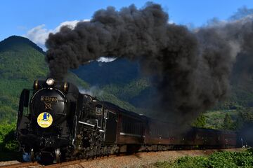 HO Gauge Tenshodo JNR D51 Mikado Steam Locomotive Hokkaido