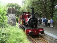 Dolgoch