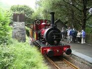 Dolgoch (Crimson Livery)