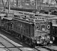 PO no. E.222 (cropped)