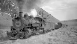 Rio Grande No. 496