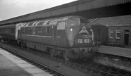 British Rail Class 42 In Black And White