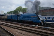 4464 Bittern masquerading as scrapped classmate 4492 Dominion of New Zealand with a railtour at Sheffield[when?]. Note the second tender.