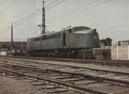 800px-Colpa06.jpg (118 KB)